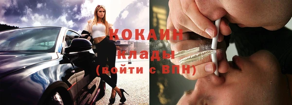 тгк Дмитриев