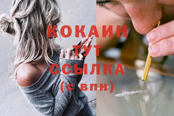 тгк Дмитриев