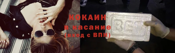 тгк Дмитриев
