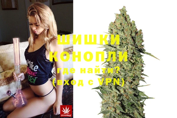 ПСИЛОЦИБИНОВЫЕ ГРИБЫ Дмитров