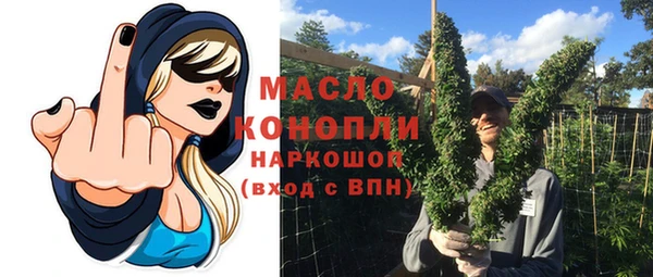 тгк Дмитриев
