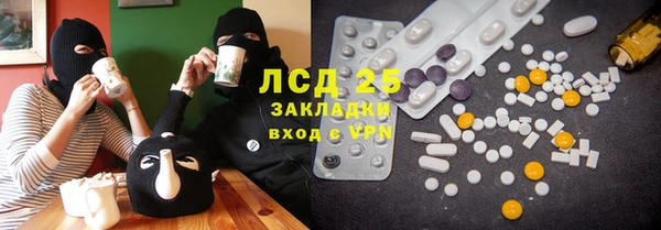 ПСИЛОЦИБИНОВЫЕ ГРИБЫ Дмитров