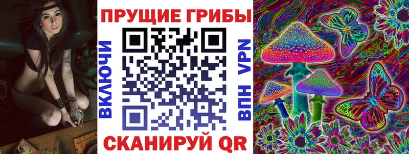 Псилоцибиновые грибы Magic Shrooms  Купить закладки  Ивдель 